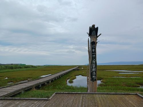 【Day5】北海道C△mp旅’ in 釧路・弟子屈 RECAMP 摩周(桜ヶ丘森林公園オートキャンプ場) ファミリーキャンプ キャンピングカー オートサイト vios outdoor'sさんのキャンプブログ CAMPiii(キャンピー) -キャンプ専用SNS キャンプのすべてがここに集まる-