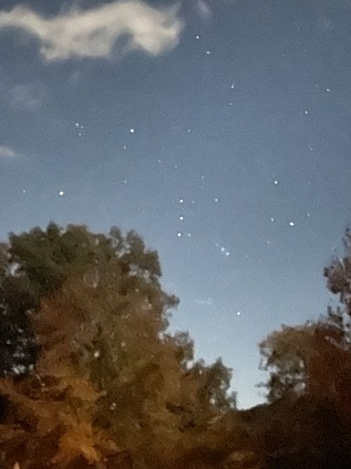 今シーズン最後のキャンプ エコキャンプみちのく ファミリーキャンプ 区画サイト ロコCamp0828さんのキャンプブログ CAMPiii（キャンピー） -キャンプ専用SNS キャンプのすべてがここに集まる-