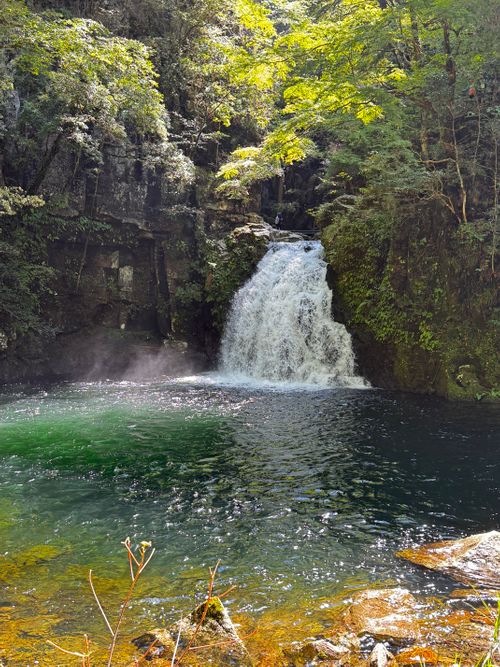 728日後が幸せだったって話。 赤目山水園 キャンプサイトかわせみ ファミリーキャンプ 区画サイト 野に出て飯を食う（野飯）さんのキャンプブログ CAMPiii（キャンピー） -キャンプ専用SNS キャンプのすべてがここに集まる-
