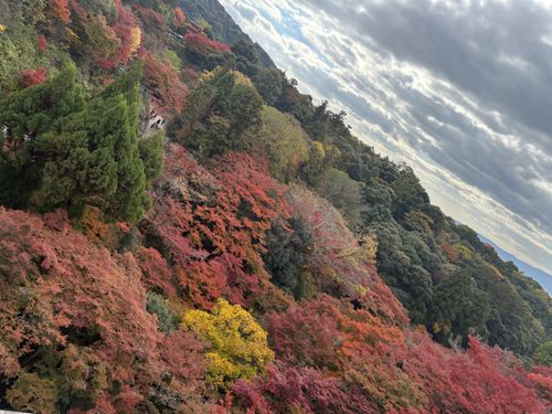 CAMPiii（キャンピー） camping roll♪さんのキャンプブログ 京の紅葉🍁 京都府