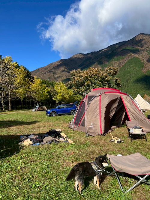 最高の天気だったふもとっぱらキャンプ ふもとっぱらキャンプ場 グループキャンプ フリーサイト OYAKATAさんのキャンプブログ CAMPiii（キャンピー） -キャンプ専用SNS キャンプのすべてがここに集まる-