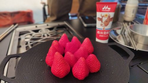 CAMPiii（キャンピー） スローライフに憧れるさんのキャンプブログ 冬の終わりを告げるオジサン4人グルキャン キャンプ&農園 玖珠の杜