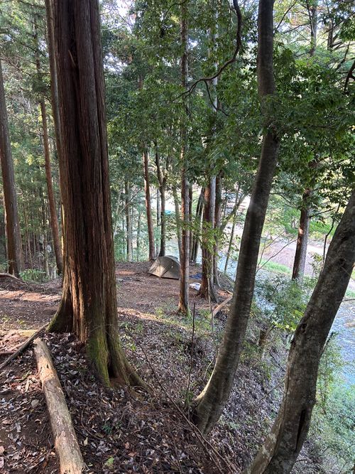 久しぶりのWOODSMAN WOODSMAN CAMPGROUND ソロキャンプ フリーサイト Genさんのキャンプブログ CAMPiii（キャンピー） -キャンプ専用SNS キャンプのすべてがここに集まる-