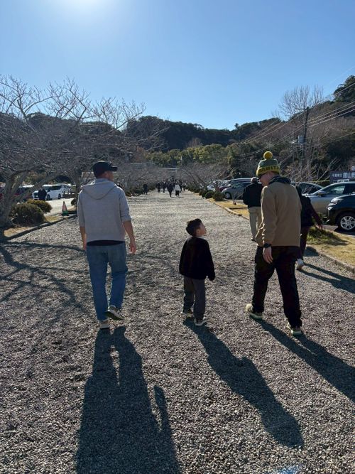 恒例の新春ファミキャン！ THE DOG DEPT GARDEN RESORT-安房白浜- ファミリーキャンプ グループキャンプ 区画サイト まーささんのキャンプブログ CAMPiii（キャンピー） -キャンプ専用SNS キャンプのすべてがここに集まる-