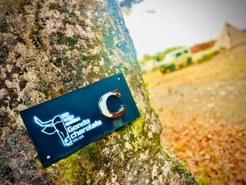 念願だった初・阿蘇(熊本)の秋を楽しむおじおばうさキャン△ in ゴンドーシャロレー 〜 CAMP NO.163 ゴンドーシャロレー ファミリーキャンプ グループキャンプ 区画サイト おじキャン△さんのキャンプブログ CAMPiii（キャンピー） -キャンプ専用SNS キャンプのすべてがここに集まる-