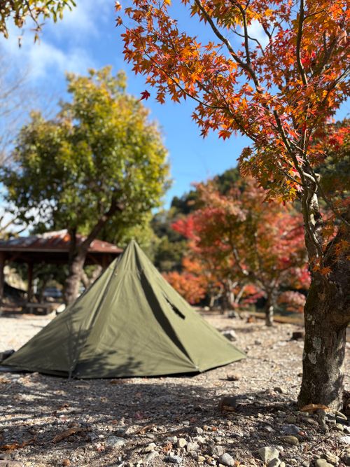 初軍幕début🪖 徳島県 ソロキャンプ フリーサイト camping roll♪さんのキャンプブログ CAMPiii（キャンピー） -キャンプ専用SNS キャンプのすべてがここに集まる-