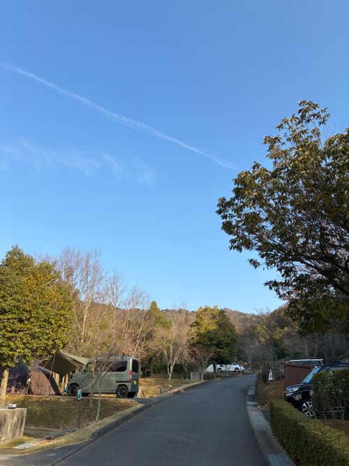 2026年4回目、桜開花直前キャン🌸 憩いの森公園 ファミリーキャンプ 区画サイト オートサイト わいげさんのキャンプブログ CAMPiii（キャンピー） -キャンプ専用SNS キャンプのすべてがここに集まる-