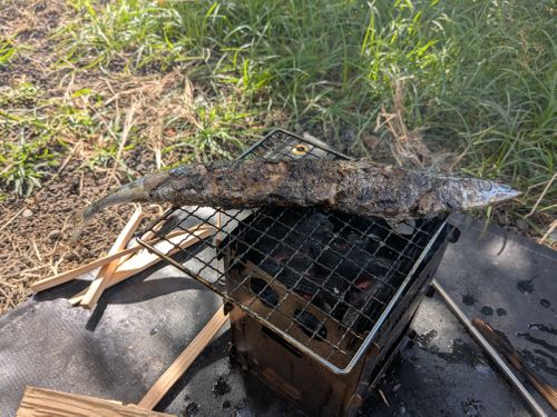 久しぶりのアップです。台風あけキャンプ 高原キャンプ場 樹庭夢 ソロキャンプ 区画サイト 3838Outdoorさんのキャンプブログ CAMPiii（キャンピー） -キャンプ専用SNS キャンプのすべてがここに集まる-