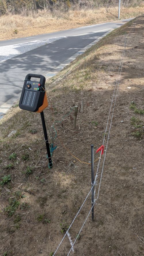 おひさしぶりです！No.44 South One Village 館山 ソロキャンプ 区画サイト すーつさんのキャンプブログ CAMPiii（キャンピー） -キャンプ専用SNS キャンプのすべてがここに集まる-