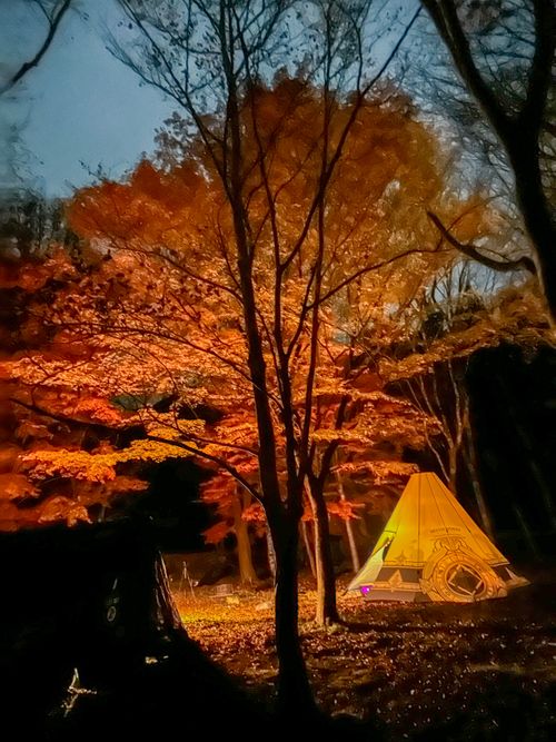 コレぞTHE紅葉キャンプ🍁酒より景色を楽しむキャンプ🏕️ ちばむらオートキャンパーズリゾート（旧高原千葉村） skitさんのキャンプブログ CAMPiii（キャンピー） -キャンプ専用SNS キャンプのすべてがここに集まる-