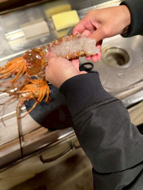 九州伊勢えびキャンプ🦞̥@紅葉観に行こーよ🍁 阿蘇レインボーバレー ファミリーキャンプ オートサイト ぐうたら夫婦さんのキャンプブログ CAMPiii（キャンピー） -キャンプ専用SNS キャンプのすべてがここに集まる-