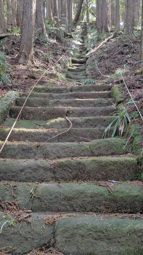 ハスラーが気になる(標高 約150m)(RVパーク(区画、電源付) 3000円)) RVパーク 七里川 ソロキャンプ グループキャンプ オートサイト 区画サイト IZUIZUさんのキャンプブログ CAMPiii（キャンピー） -キャンプ専用SNS キャンプのすべてがここに集まる-