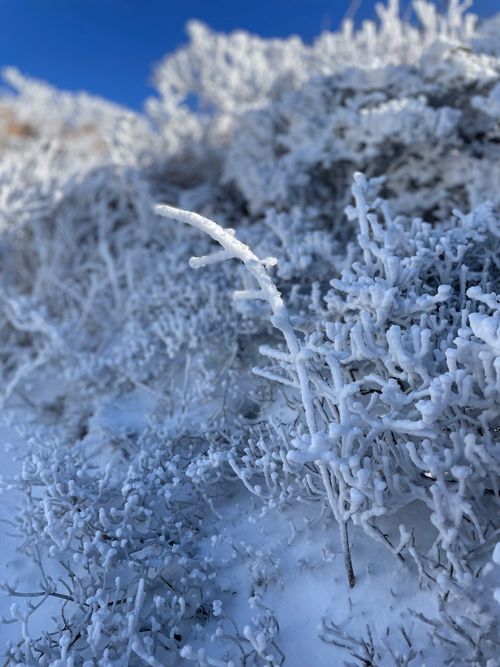 オープン最終日の大寒波❄️ えびの高原 キャンプ村 ソロキャンプ 区画サイト Anomiさんのキャンプブログ CAMPiii（キャンピー） -キャンプ専用SNS キャンプのすべてがここに集まる-