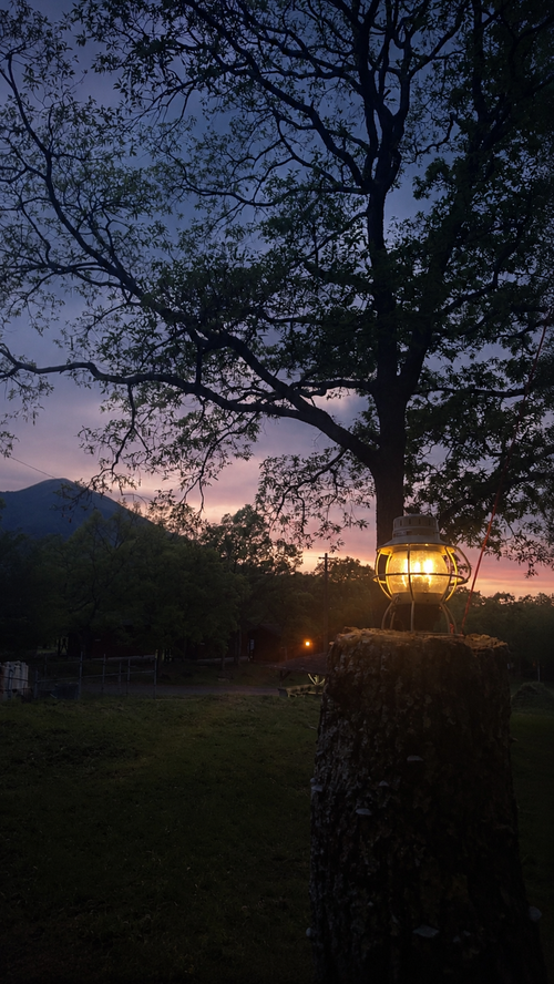 キャンプ+登山+ミヤマキリシマ 九重グリーンパーク泉水キャンプ村 ソロキャンプ BEGINNER　CAMPER　Kさんのキャンプブログ CAMPiii（キャンピー） -キャンプ専用SNS キャンプのすべてがここに集まる-
