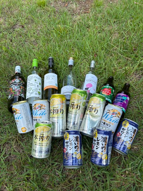 白馬⸜(*˙꒳˙*)⸝(*ˊᗜˋ*)⸜(*˙꒳˙*)⸝女子キャンプ②長野娘合流〜 白馬アルプスオートキャンプ場 グループキャンプ 区画サイト ぷりんさんのキャンプブログ CAMPiii（キャンピー） -キャンプ専用SNS キャンプのすべてがここに集まる-