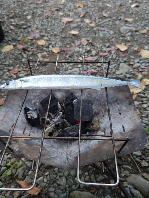 リベンジ車中泊! 青野原オートキャンプ場 ソロキャンプ 区画サイト やちさんのキャンプブログ CAMPiii(キャンピー) -キャンプ専用SNS キャンプのすべてがここに集まる-