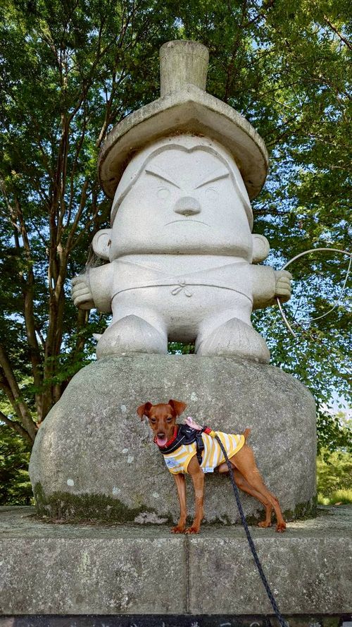 犬キャン! スリーアローズ那須キャンプビレッジ グループキャンプ ファミリーキャンプ 区画サイト まーささんのキャンプブログ CAMPiii(キャンピー) -キャンプ専用SNS キャンプのすべてがここに集まる-