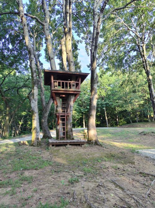 広々貸切キャンプ⛺️ 大和川森林公園高ノ峰プラトー ファミリーキャンプ フリーサイト セツさんのキャンプブログ CAMPiii（キャンピー） -キャンプ専用SNS キャンプのすべてがここに集まる-