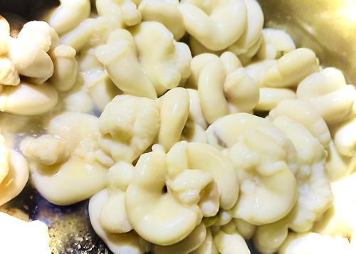 2025-2026 最初で最期の城跡エリア年越グルキャン△ in 下関市串崎城跡 〜 CAMP NO.169 関見台公園 ソロキャンプ ファミリーキャンプ グループキャンプ 区画サイト おじキャン△さんのキャンプブログ CAMPiii（キャンピー） -キャンプ専用SNS キャンプのすべてがここに集まる-