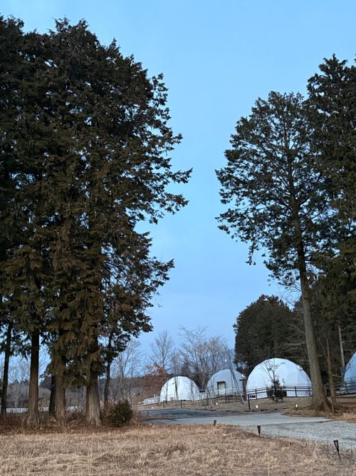 ワーケーションしてみた GRAN REGALO ASAGIRI(グランレガロあさぎり) ソロキャンプ オートサイト 区画サイト ちはみなさんのキャンプブログ CAMPiii（キャンピー） -キャンプ専用SNS キャンプのすべてがここに集まる-