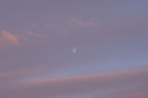 近場開拓ソロキャンツー 秋山川キャンプ場 ソロキャンプ 区画サイト 週末スナフキンさんのキャンプブログ CAMPiii（キャンピー） -キャンプ専用SNS キャンプのすべてがここに集まる-