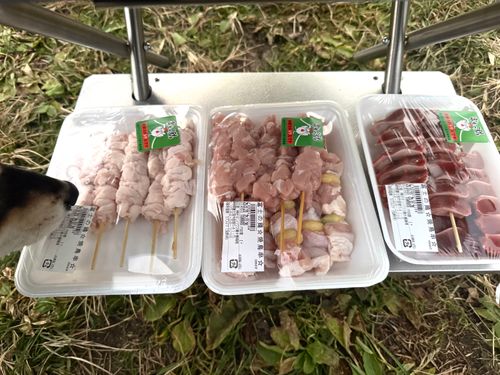 今月2回目⛺️今回も天気に恵まれて最高 ふもとっぱらキャンプ場 ソロキャンプ フリーサイト OYAKATAさんのキャンプブログ CAMPiii（キャンピー） -キャンプ専用SNS キャンプのすべてがここに集まる-