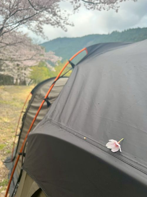 お花見キャンプでリフレッシュタイム♪ 小川の里オートキャンプ場 ソロキャンプ グループキャンプ フリーサイト オートサイト ちあさんのキャンプブログ CAMPiii（キャンピー） -キャンプ専用SNS キャンプのすべてがここに集まる-