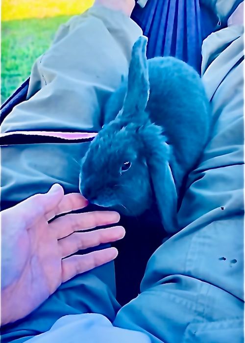 CAMPiii（キャンピー） おじキャン△さんのキャンプブログ あずきちゃんとラブラブ💓おじ🐰キャン△ in 阿川ほうせんぐり海浜公園 〜 CAMP NO.219 阿川ほうせんぐり海浜公園