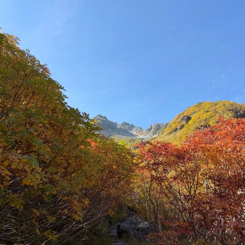🍁紅葉の涸沢カールで4度目の正直🙏 涸沢カール グループキャンプ フリーサイト shuさんのキャンプブログ CAMPiii（キャンピー） -キャンプ専用SNS キャンプのすべてがここに集まる-