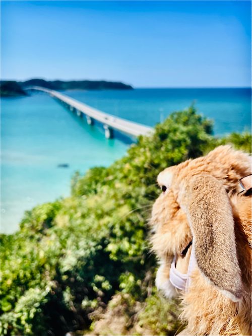 夏キャンプもそろそろ終わり？お盆明けのまた〜りおじ🐰キャン△ in 阿川ほうせんぐり海浜公園 〜 CAMP NO.208 阿川ほうせんぐり海浜公園 ソロキャンプ ファミリーキャンプ フリーサイト おじキャン△さんのキャンプブログ CAMPiii（キャンピー） -キャンプ専用SNS キャンプのすべてがここに集まる-