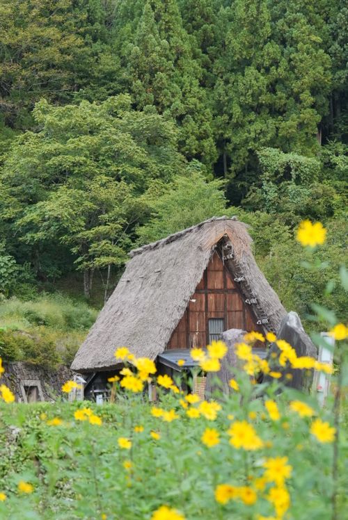 CAMPiii（キャンピー） ENJOY THE OUTDOORSさんのキャンプブログ 全国旅キャンプ第10弾の富山編 相倉キャンプ場