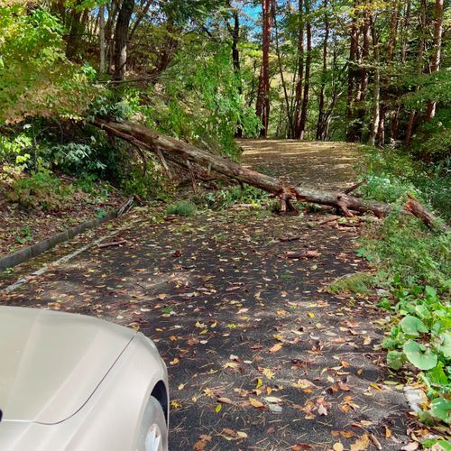 2泊3日森ソロ 葛尾村森林公園もりもりランド ソロキャンプ オートサイト 区画サイト ド・スタールさんのキャンプブログ CAMPiii（キャンピー） -キャンプ専用SNS キャンプのすべてがここに集まる-