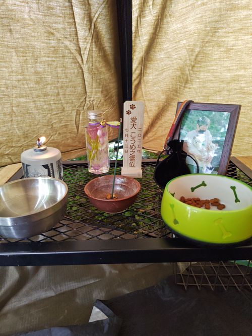 福島グルキャン参戦 Chillax Garden CAMP.024 チラックスガーデン けい@福島県さんのキャンプブログ CAMPiii(キャンピー) -キャンプ専用SNS キャンプのすべてがここに集まる-