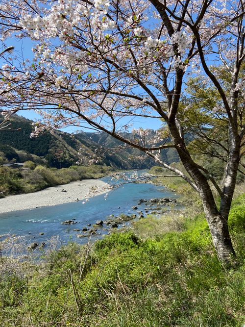 咸陽島公園キャンプ⛺️※過去キャンプ⛺️ 咸陽島公園 ソロキャンプ フリーサイト 平和☮️さんのキャンプブログ CAMPiii（キャンピー） -キャンプ専用SNS キャンプのすべてがここに集まる-