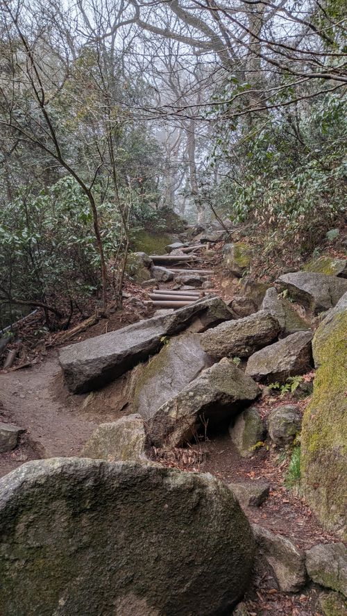 ハスラーが気になる(標高 約150m)(RVパーク(区画、電源付) 3000円)) RVパーク 七里川 ソロキャンプ グループキャンプ オートサイト 区画サイト IZUIZUさんのキャンプブログ CAMPiii（キャンピー） -キャンプ専用SNS キャンプのすべてがここに集まる-