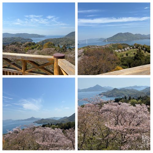 2026年5回目、イルカキャン🐬 ドルフィンファームしまなみ ファミリーキャンプ 区画サイト オートサイト わいげさんのキャンプブログ CAMPiii（キャンピー） -キャンプ専用SNS キャンプのすべてがここに集まる-