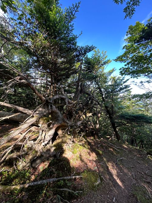目指せ近畿最高峰の山 弥山 ソロキャンプ フリーサイト △kuuga△さんのキャンプブログ CAMPiii（キャンピー） -キャンプ専用SNS キャンプのすべてがここに集まる-