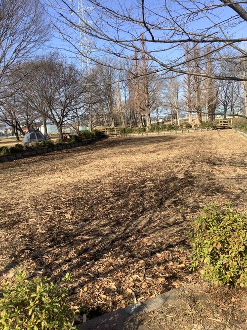 Vol.111 26/NO.01 新年1発目はココで‼️ 坂戸市 ソロキャンプ フリーサイト 🔥焚き火🔥さんのキャンプブログ CAMPiii（キャンピー） -キャンプ専用SNS キャンプのすべてがここに集まる-