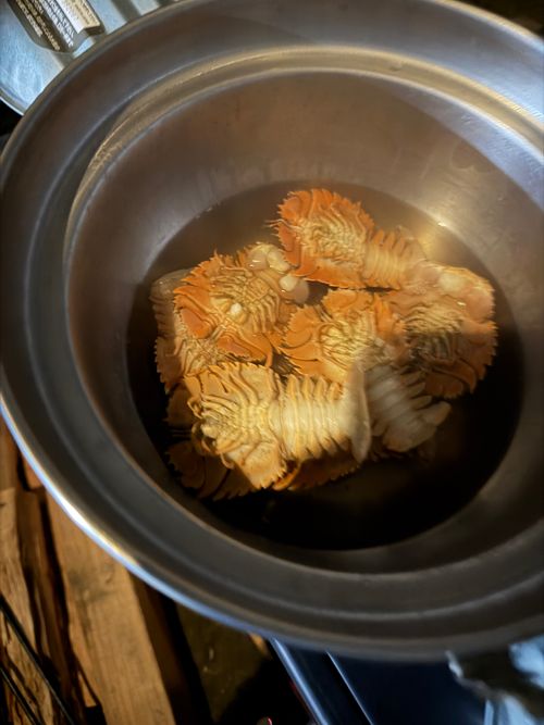 九州伊勢えびキャンプ🦞̥@紅葉観に行こーよ🍁 阿蘇レインボーバレー ファミリーキャンプ オートサイト ぐうたら夫婦さんのキャンプブログ CAMPiii（キャンピー） -キャンプ専用SNS キャンプのすべてがここに集まる-