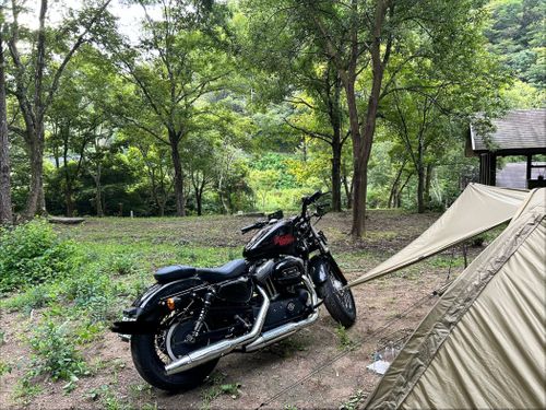 初キャンツー 紀泉わいわい村 FUNNY HEARTH ソロキャンプ フリーサイト say Gさんのキャンプブログ CAMPiii（キャンピー） -キャンプ専用SNS キャンプのすべてがここに集まる-