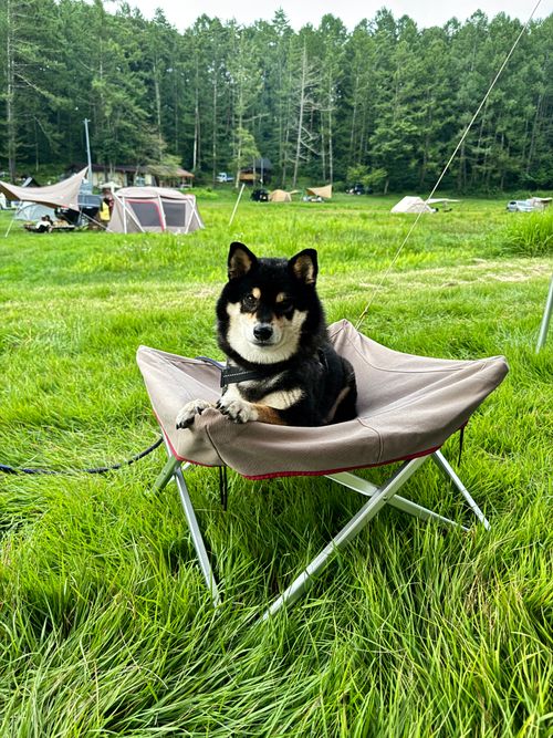 CAMPiii(キャンピー) OYAKATAさんのキャンプブログ 中山高原、初日は曇り白馬の山⛰️見えず 中山高原キャンプ場