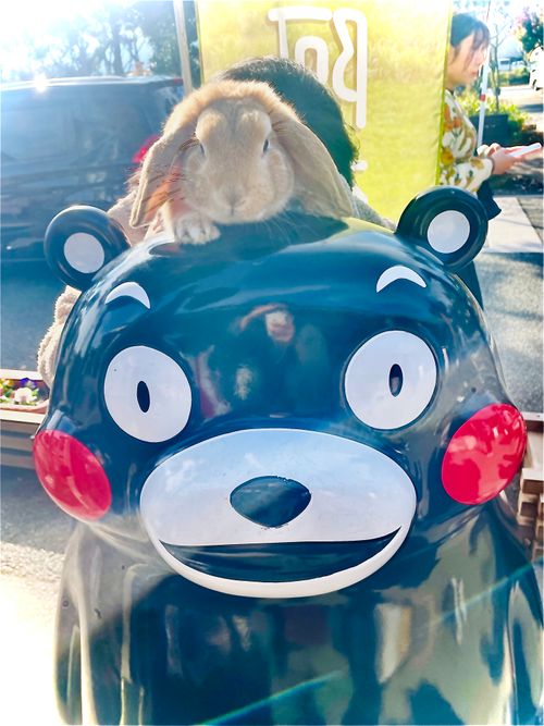 念願だった初・阿蘇(熊本)の秋を楽しむおじおばうさキャン△ in ゴンドーシャロレー 〜 CAMP NO.163 ゴンドーシャロレー ファミリーキャンプ グループキャンプ 区画サイト おじキャン△さんのキャンプブログ CAMPiii（キャンピー） -キャンプ専用SNS キャンプのすべてがここに集まる-