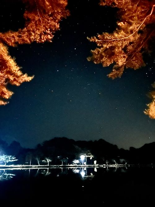 ２年ぶりの開催🤣 せらにし青少年旅行村 ファミリーキャンプ はやぷささんのキャンプブログ CAMPiii（キャンピー） -キャンプ専用SNS キャンプのすべてがここに集まる-