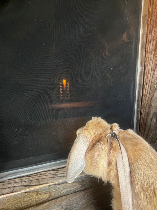 ようやく念願の&hellip;遺跡眺望おじおば🐰キャン△ in スノーピーク吉野ヶ里キャンプフィールド 〜 CAMP NO.196 ファミリーキャンプ グループキャンプ フリーサイト おじキャン△さんのキャンプブログ CAMPiii（キャンピー） -キャンプ専用SNS キャンプのすべてがここに集まる-