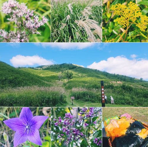 秋満喫ベスト4🍁🍂キャンプと登山とChatGPT 坊ガツル グループキャンプ フリーサイト NATSUさんのキャンプブログ CAMPiii（キャンピー） -キャンプ専用SNS キャンプのすべてがここに集まる-