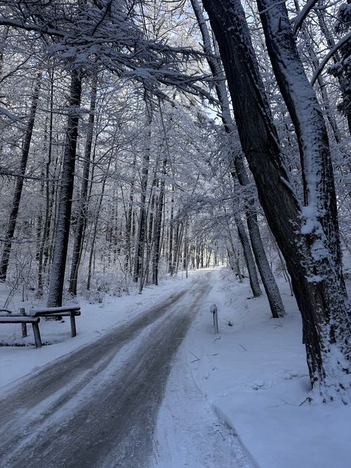 とうとう来たな...この時が！！ 中山高原キャンプ場 skitさんのキャンプブログ CAMPiii（キャンピー） -キャンプ専用SNS キャンプのすべてがここに集まる-