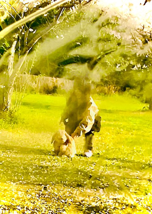 リベンジお花見🌸 & 新幕お試しおじうさキャン△ in 阿武川温泉公園 〜 CAMP NO.183 萩阿武川温泉公園（キャンプ可） ソロキャンプ ファミリーキャンプ フリーサイト おじキャン△さんのキャンプブログ CAMPiii（キャンピー） -キャンプ専用SNS キャンプのすべてがここに集まる-