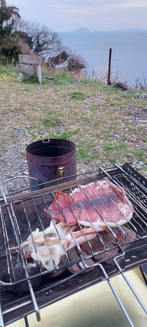 車中泊旅🚗  RVパーク 伊豆黒根岬 ソロキャンプ 夢見るクマさんのキャンプブログ CAMPiii（キャンピー） -キャンプ専用SNS キャンプのすべてがここに集まる-
