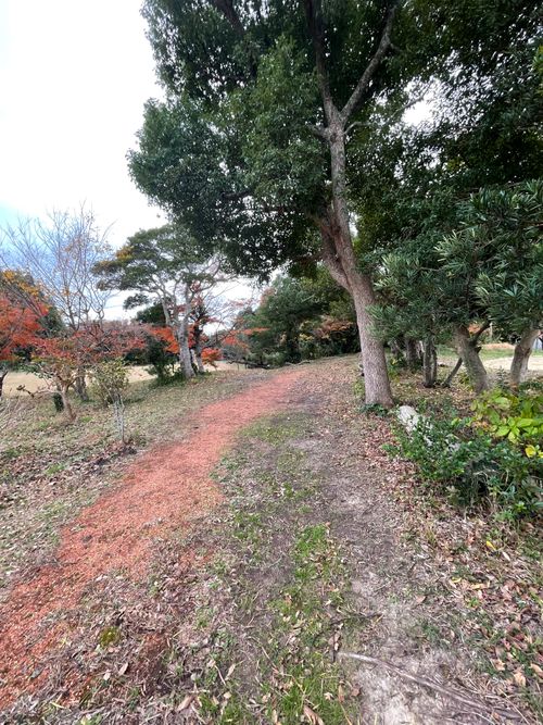 千葉の東浪見にあるTORAMIキャンプ場でデュオキャンプ！ Campsite TORAMI(一宮町東浪見,「旧秋場家住宅」) ソロキャンプ グループキャンプ フリーサイト 区画サイト ma9さんのキャンプブログ CAMPiii（キャンピー） -キャンプ専用SNS キャンプのすべてがここに集まる-