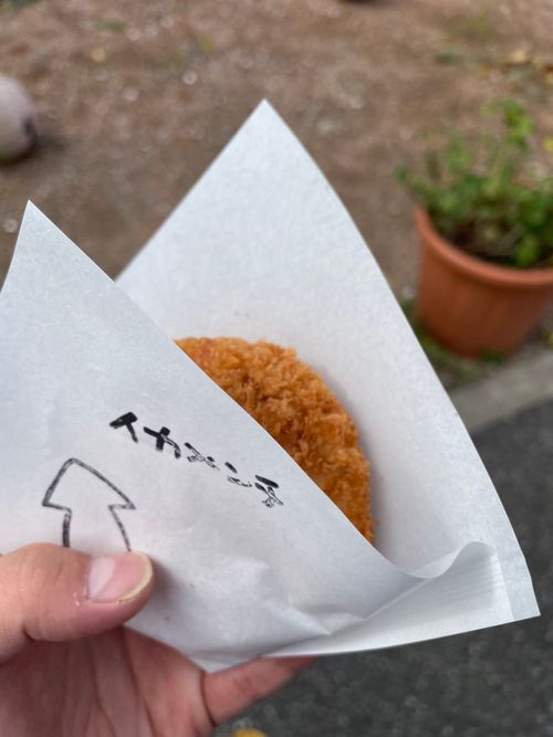 初の2泊キャンプと憧れのカンガルースタイル RECAMP 勝浦(旧しあわせの丘リゾート) ソロキャンプ 区画サイト オートサイト ぺちゃさんのキャンプブログ CAMPiii(キャンピー) -キャンプ専用SNS キャンプのすべてがここに集まる-